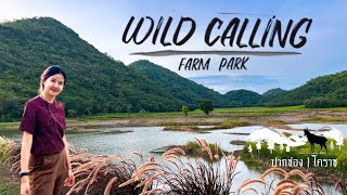 วิวหลักล้าน Wild calling farm park | กางเต็นท์คนเดียว ปากช่อง | โคราช | Camping Ep.69 | แพรวีย่า