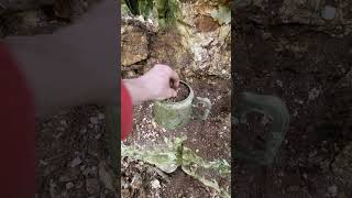 Ive Got Me Tea Pot Of Dirt