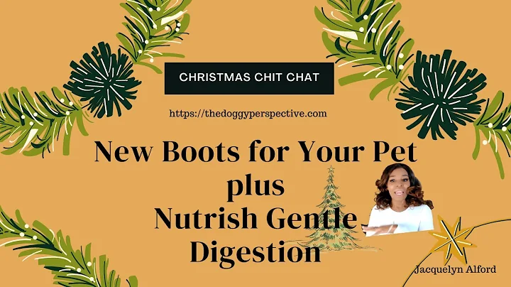Christmas Chit Chat and Rachal Ray Nutrish Review