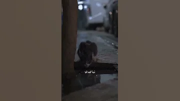 اتدري من يزيل الهم ان ضاقت بك الدنيا اناشيد اناشيد اسلاميه انشودة إنشاد موعظة مواعظ استغفار 