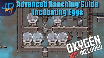 Advanced Ranching Incubating Eggs | Oxygen Not Included