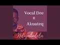 Ndiyabulela (feat. Vocal_Dee)