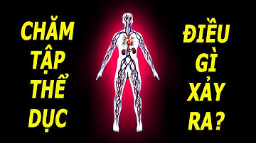 Chăm tập thể dục điều gì sẽ xảy ra với cơ thể bạn