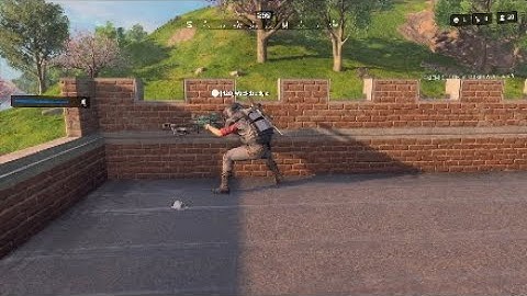 COD: BLACK OPS 4 - The Paladin