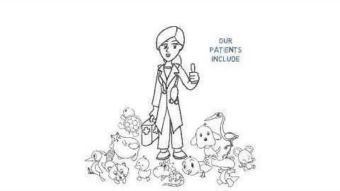 Lomsnes Video Scribe Sample