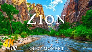 Zion National Park 4K Ultra HD • Stunning Footage, Scenic Relaxation Film with Calming Music by Enjoy Moment 1,158 views 9 days ago 23 hours