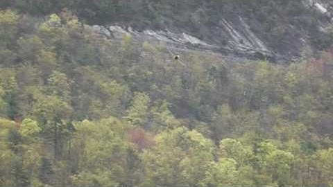 T28 Trojan: Maiden Fly with Flaps