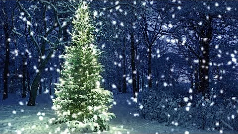 [10 Hours] Snowfall on Christmas Tree in the Woods - Video & Audio [1080HD] SlowTV