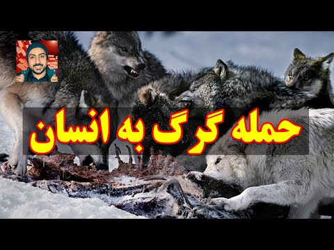 تصویری: آیا گرگ می تواند یک نام باشد؟