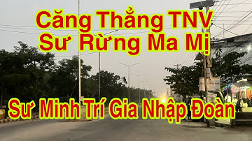 Căng Thẳng TNV - Sư Rừng Ma Mị #dungmapvlog #thichminhtue #dungtocdaitv
