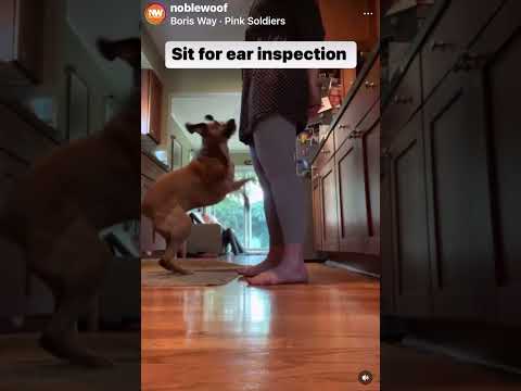 Cooperative Care Start Buttons