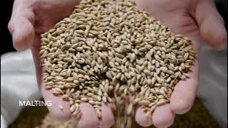 SERA - The agro-industry process specialist