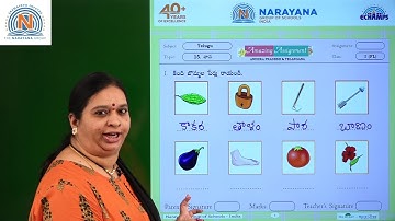 8TH FEB TS CLASS I FL TELUGU AMAZING ASSIGNMENT KEY