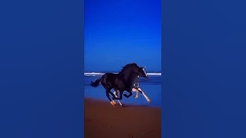 سورة الاعلى سبح باسم ربك الاعلى الذي خلق فسوى