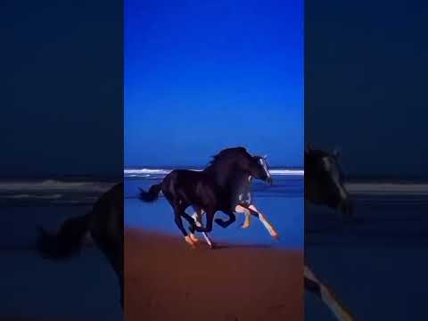 سورة الاعلى سبح باسم ربك الاعلى الذي خلق فسوى