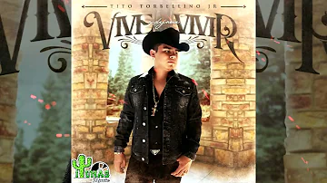 Tito Torbellino Jr - VIVE Y DEJAME VIVIR (ALBUM COMPLETO 2021)