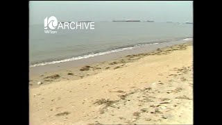 WAVY Archive: 1981 Coal Ships Dumping Sewage in the Bay
