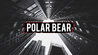 MAKK and WKND Warrior - Polar Bear (feat. Jeff Kush)