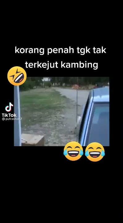 kambing buat lawak