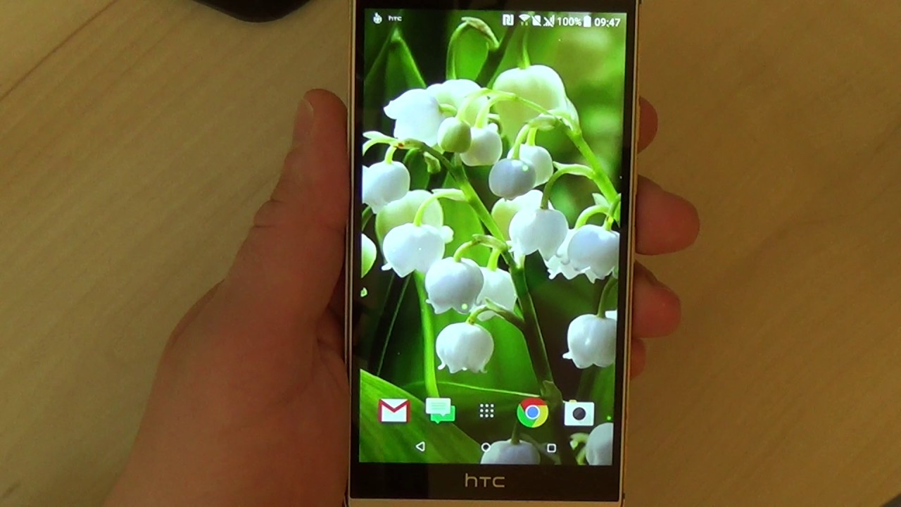 Lily Of The Valley Live Wallpaper For Android Phones And Tablets