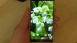Lily of The Valley Live Wallpaper for Android phones and tablets screenshot 5