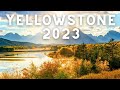 Live photo yellowstone  on prpare le voyage 2023 