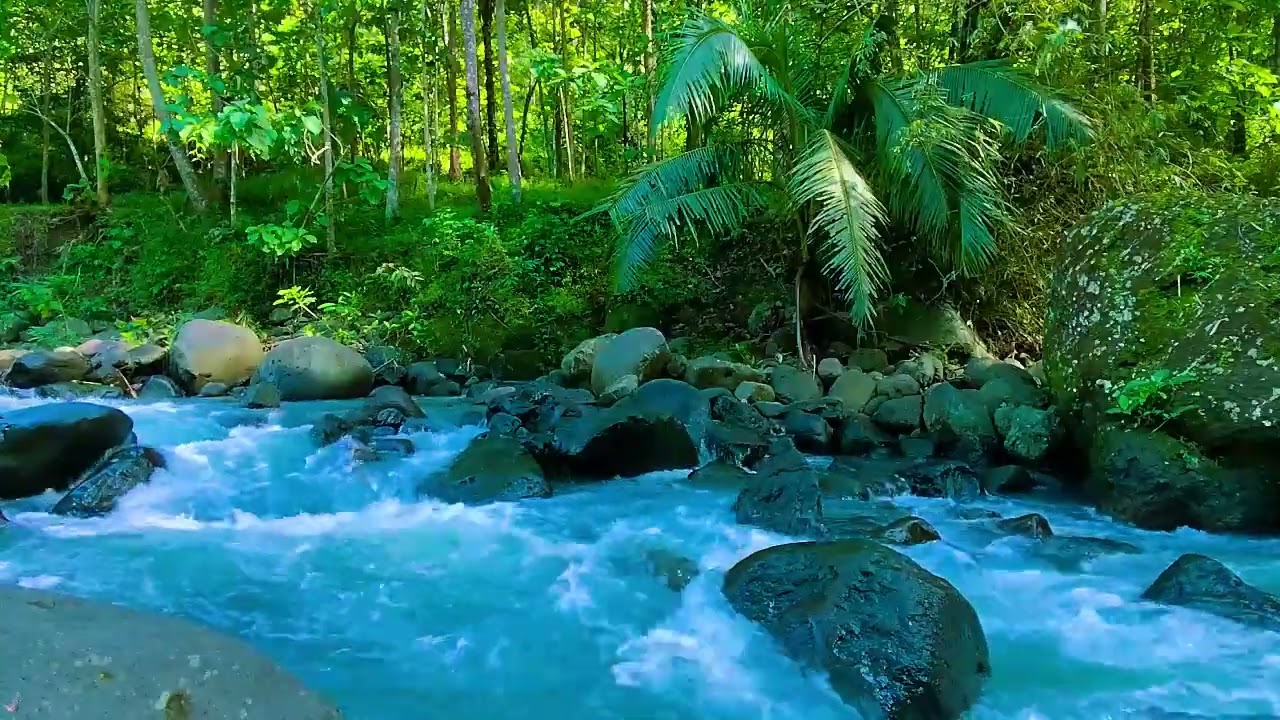 Instant Peace of Mind - River Water, Relaxing Sounds and Relieves Anxiety