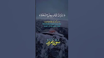 تلاوه من سوره مريم #القرآن_الكريم #المصحف ##duet #اكسبلور