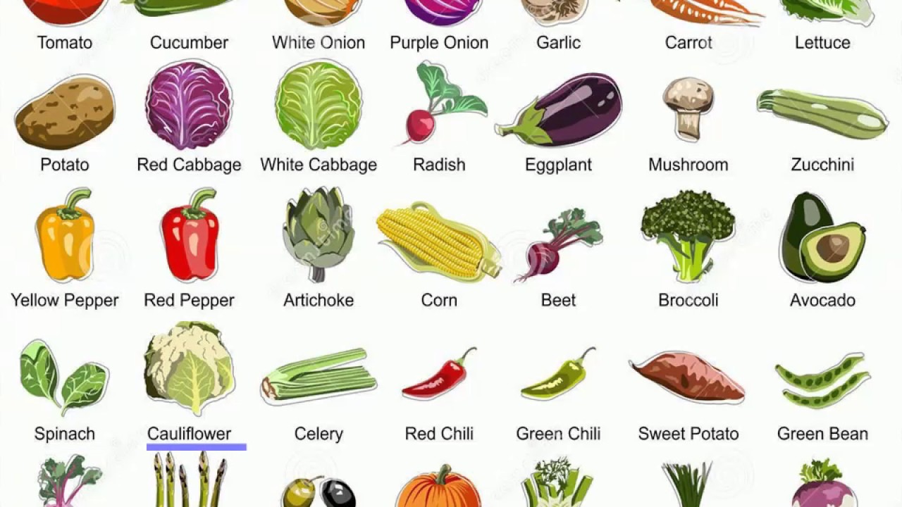 أسماء الخضروا بالانجليزية بالصور Vegetables In English Fc4eeefd148