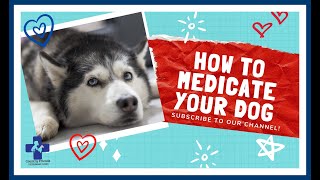 How to Medicate Your Dog (giving your pet a pill)