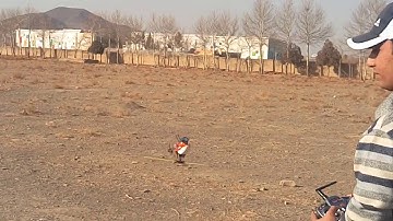 Blade Mcpx Bl , upgraded to out runner brushless motor, 3D flight