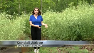 Housing development one step closer for Duluth's Woodland neighborhood