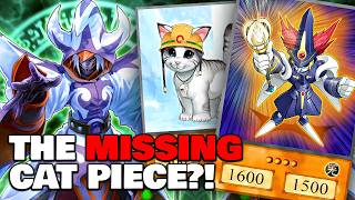 TOYS Destroy Meta Decks on Ladder! JANK or RANKED Ep. 18 - Edison Format