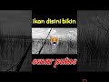 wgm ikannya seberapa besarnya koq bikin putus#shorts