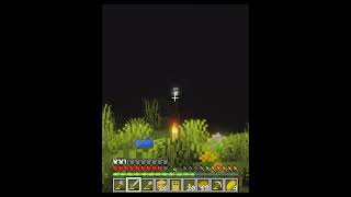 NO DEVI INSTALAR ESTE MOD...  #minecraft #terrorymisterio #terror