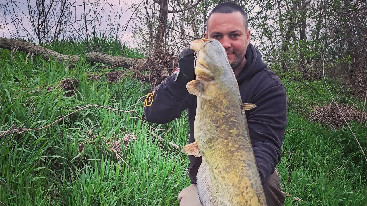 Lov Sumcov s CatCare Slovensko, #1 Podvodné plaváky