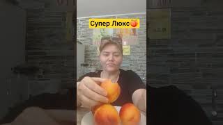 Нектарин 🍑 superlux#лазаревское #вкусноиточка #мореотдых #кайфую
