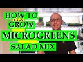 HOW TO GROW MICROGREENS || SALAD MIX || STEP BY STEP GUIDE