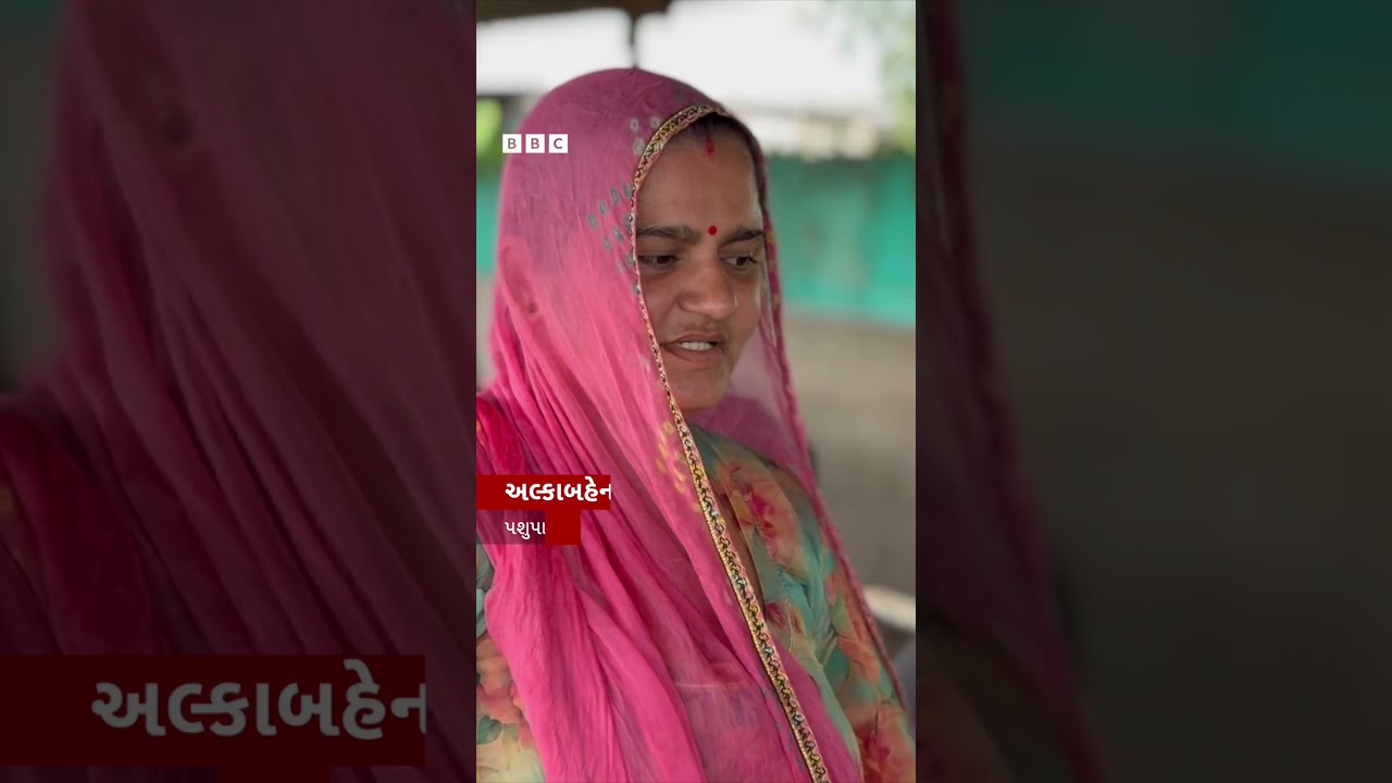 Gujarat ની આ મહિલાએ પોતાની ગાયો-ભેંસો માટે સ્વિમિંગ પુલ કેમ બનાવ્યો?