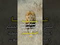 عندما اجلس بمفردي يظن الجميع انه إكتئاب ولكنها لحظة انفراد بعيدا عن تطفلات البشر عندما اجلس بمفردي يظن الجميع انه إكتئاب ولكنها لحظة انفراد بعيدا عن تطفلات البشر