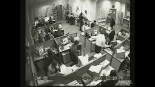 Man goes absolutely Ape-Shit in office