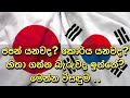 japan guide /ජපන් ද කොරිය ද​. episode 2  (japan or korea) (සල්ලි තමයි )