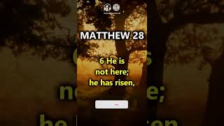 Celebrity Matthew 28:6 | Bible Verses to Start Your Day Wealth