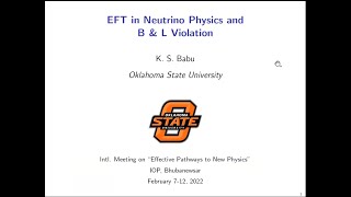 Review Talk on EFT & Neutrino Physics,Baryon & Lepton Number Violation By Prof. K. Babu | IMEPNP