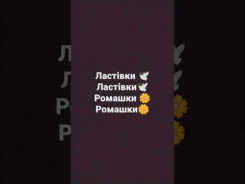 Ластівки Ластівки🕊️ - YouTube