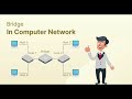 What is Bridge in Computer Network – Types, Uses, Functions & Differences