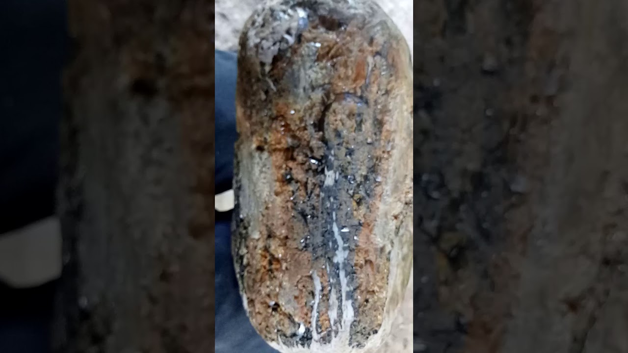 Fosil kayu asli dari toraja YouTube