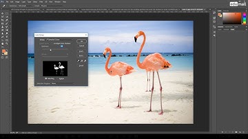7 Chức năng Color Range để tạo vùng chọn