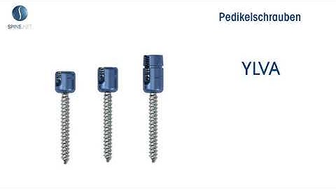 Spinenet: YLVA System