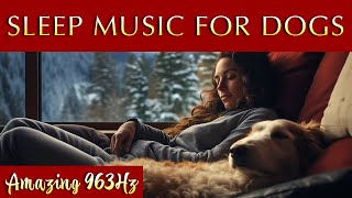 Peaceful Ambient Music for a Restful Night 💤🌙 Music for Dogs and Their Owners by Merlin's Realms - Music for Dogs and Humans 4,964 views 3 months ago 12 hours